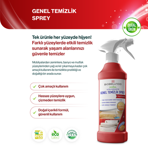 Genel Temizlik Spreyi – BL280