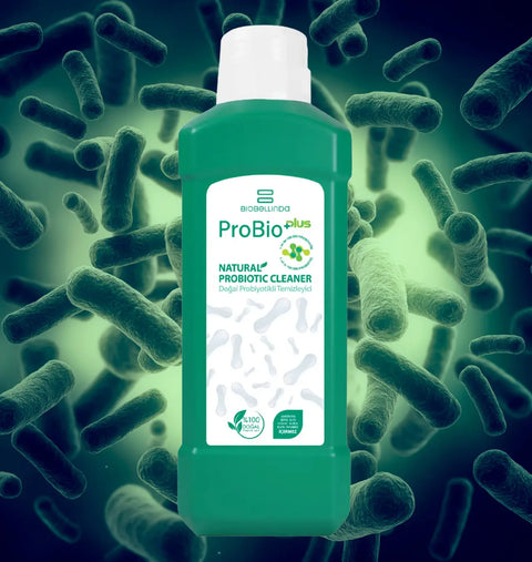 Schutz. Energie. Vitalität.